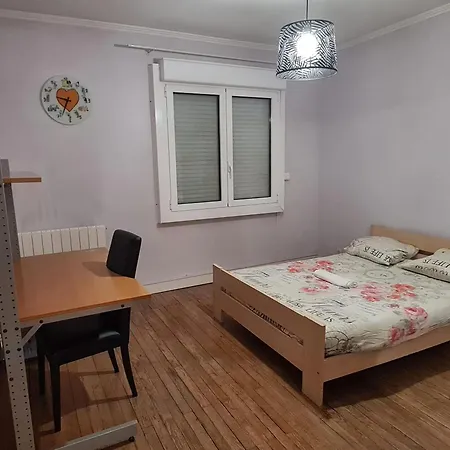 Maison Spacieuse A Proche Du Centre Avec Jardin Holiday home